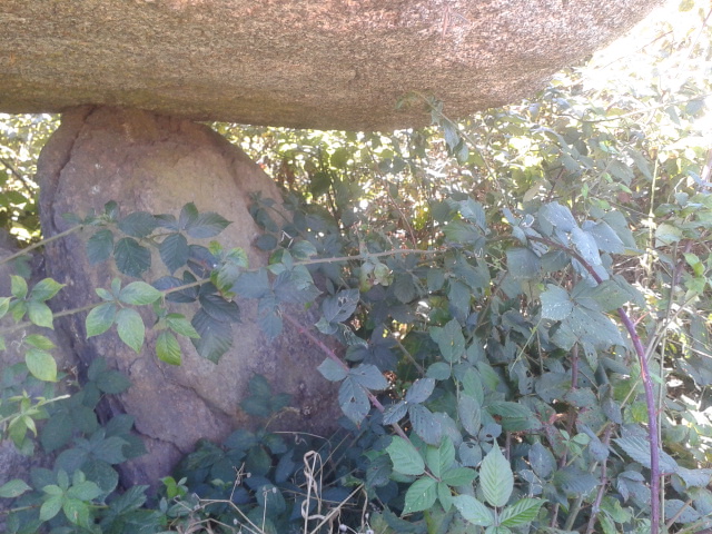 Click for full size image of Dolmen des Gorces (PID:258052) Dolmen des Gorces