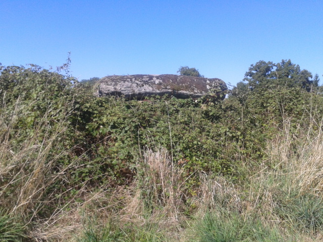 Click for full size image of Dolmen des Gorces (PID:258053) Dolmen des Gorces