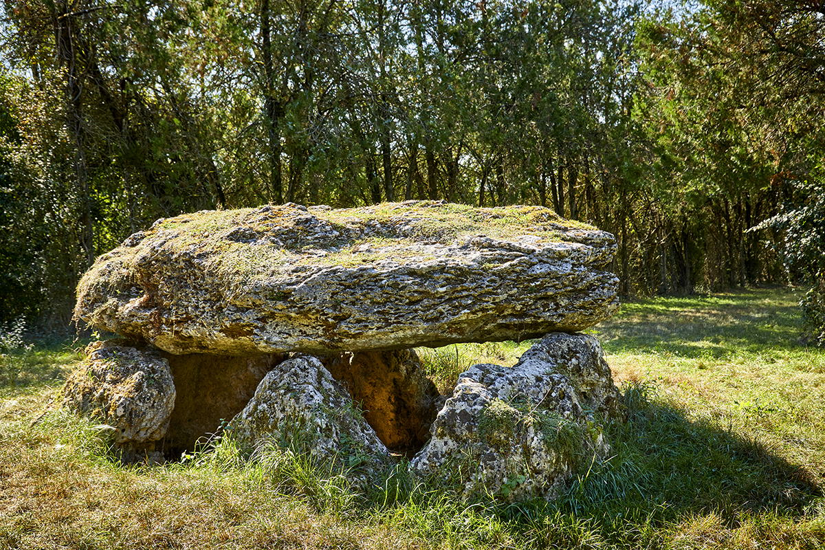 Click for full size image of Dolmen la Pierre Tournante (Tavers) (PID:274286) Dolmen la Pierre Tournante (Tavers)