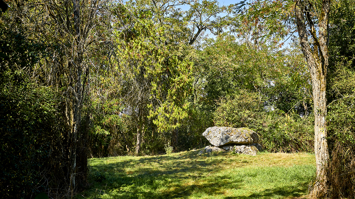 Click for full size image of Dolmen la Pierre Tournante (Tavers) (PID:274285) Dolmen la Pierre Tournante (Tavers)