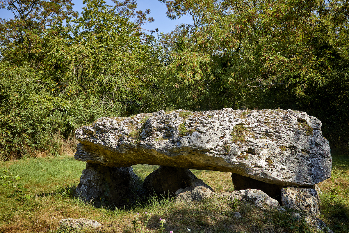 Click for full size image of Dolmen la Pierre Tournante (Tavers) (PID:274287) Dolmen la Pierre Tournante (Tavers)