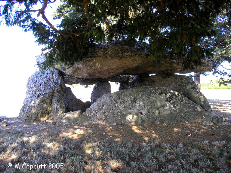 La Pierre Levée (Chapelle-Vendômoise)