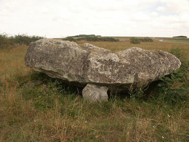 Dolmen dit Palet de Gargantua (Alluyes)