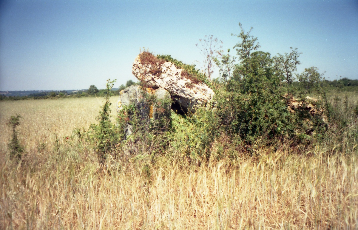 Dolmen des Granges (Ceaulmont)