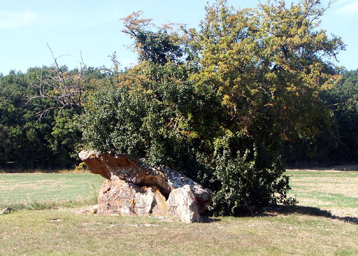 Chillou du Feuillet dolmen