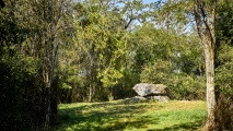 Click for full size image of Dolmen la Pierre Tournante (Tavers) (PID:274285) Dolmen la Pierre Tournante (Tavers)
