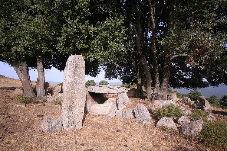 Site Mégalithique de Settiva