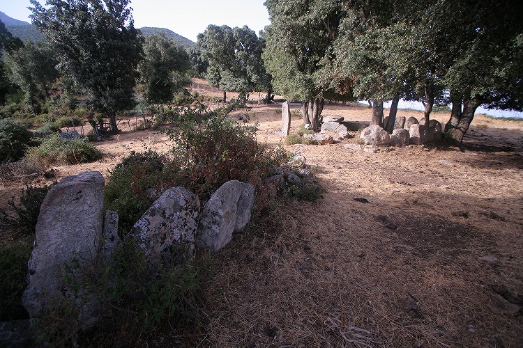 Site Mégalithique de Settiva