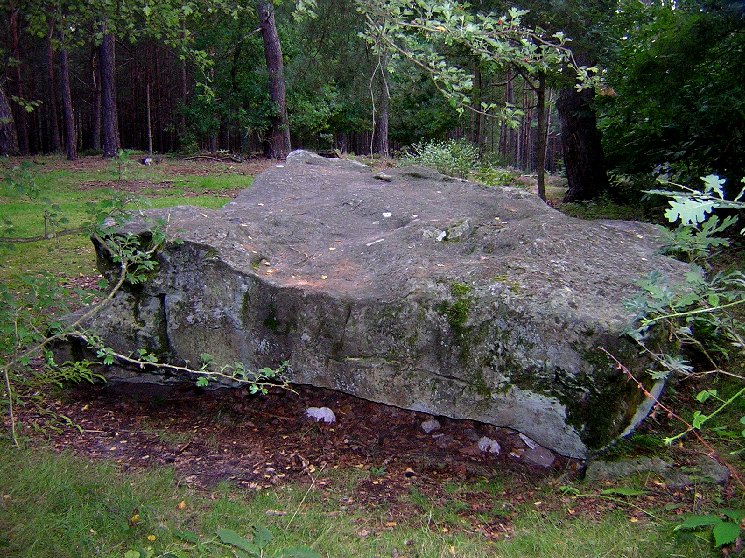 Click for full size image of Dolmen de la Pierre Ardoue (PID:23384) Dolmen de la Pierre Ardoue