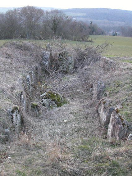 Click for full size image of Vielle Cote Dolmen (PID:20737) Vielle Cote Dolmen