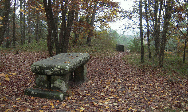 La Table du Roi