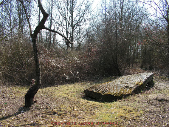 Menhir la Grande Pierre de Jouy