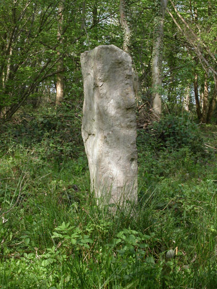 Menhir dit la Pierre Droite (Gadancourt) (PID:20761) Menhir dit la Pierre Droite (Gadancourt)