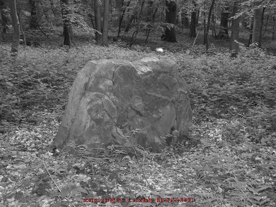 Saint-Martin-du-Tertre Menhir (PID:21010) Saint-Martin-du-Tertre Menhir