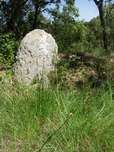 Menhir de Deroc (PID:52676) Menhir de Deroc