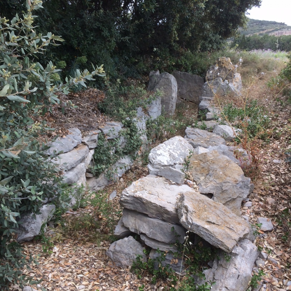 Dolmen de la Coste