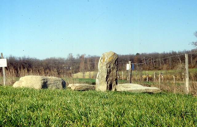 Click for full size image of Menhirs des Lattes (PID:175416) Menhirs des Lattes