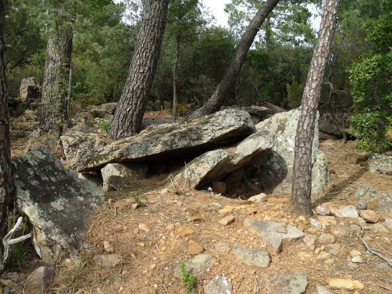 Dolmen du Patus 1 (PID:90213) Dolmen du Patus 1