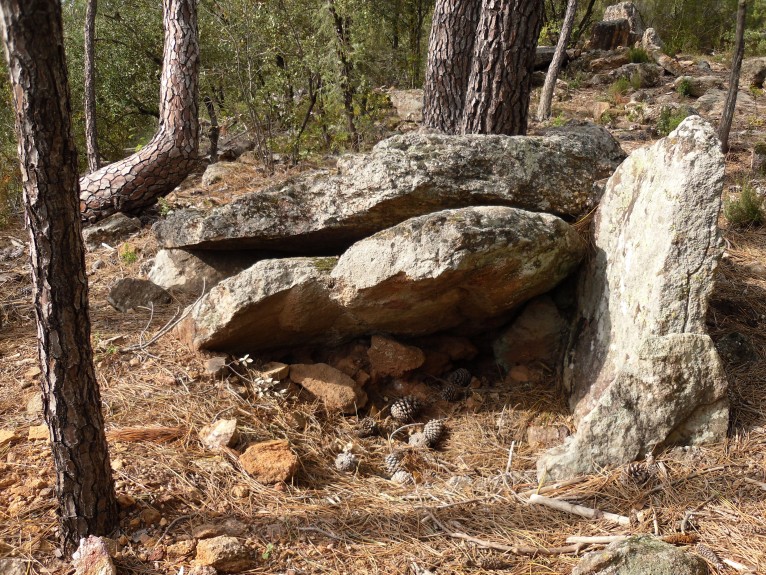 Click for full size image of Dolmen du Patus 1 (PID:90214) Dolmen du Patus 1