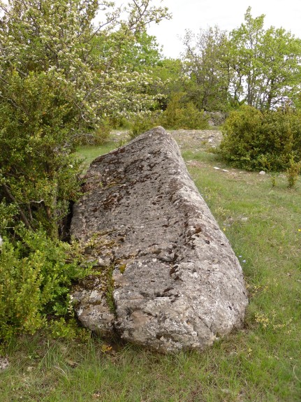 Menhir Sotch de Génièvres