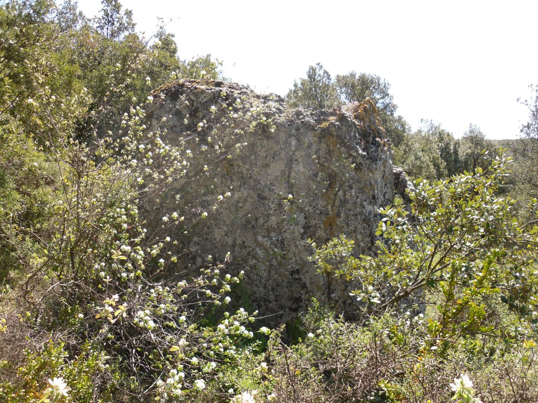 Click for full size image of Menhir dit la Pierre Droite de l'Ouïsse (PID:150998) Menhir dit la Pierre Droite de l'Ouïsse