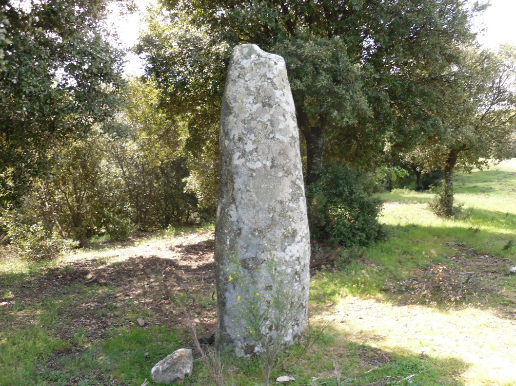 Click for full size image of Trescòl de Pèira Plantada (PID:150528) Trescòl de Pèira Plantada