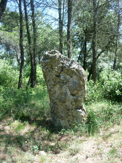 Pierre des Druides (St Alexandre) (PID:70571) Pierre des Druides (St Alexandre)