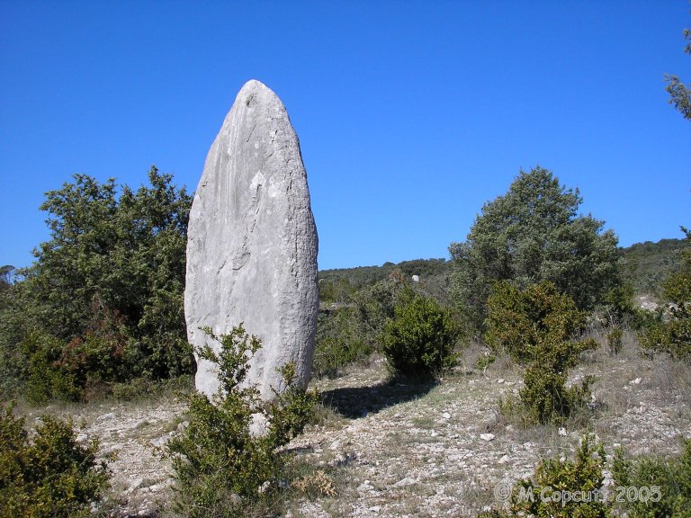 Ginestous Menhir 1