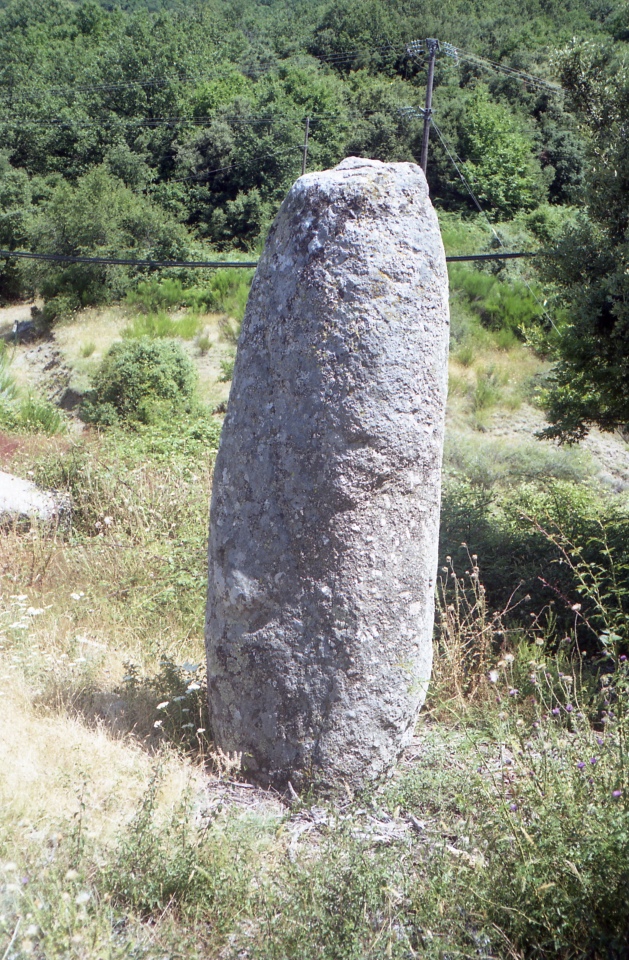 Click for full size image of Trescòl de Pèira Plantada (PID:208561) Trescòl de Pèira Plantada