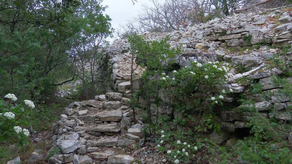 Oppidum dit Vié-Cioutat (PID:148060) Oppidum dit Vié-Cioutat