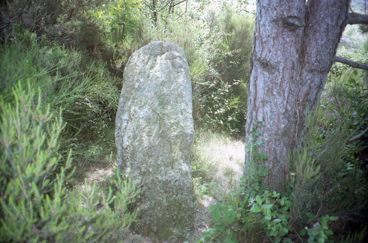 Click for full size image of Saint-Salvayre Menhir (PID:209442) Saint-Salvayre Menhir