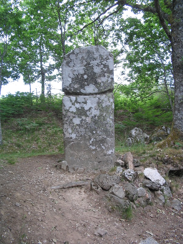 Statue menhir de Picarel