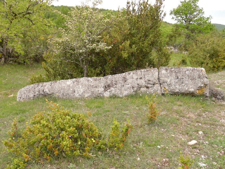 Menhir Sotch de Génièvres