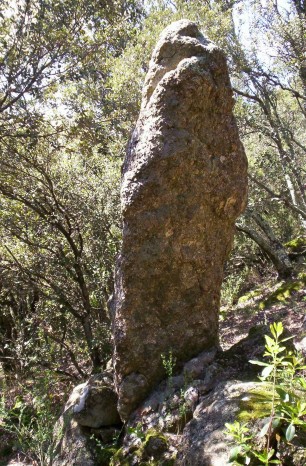 Menhir de la Borie de Calviac