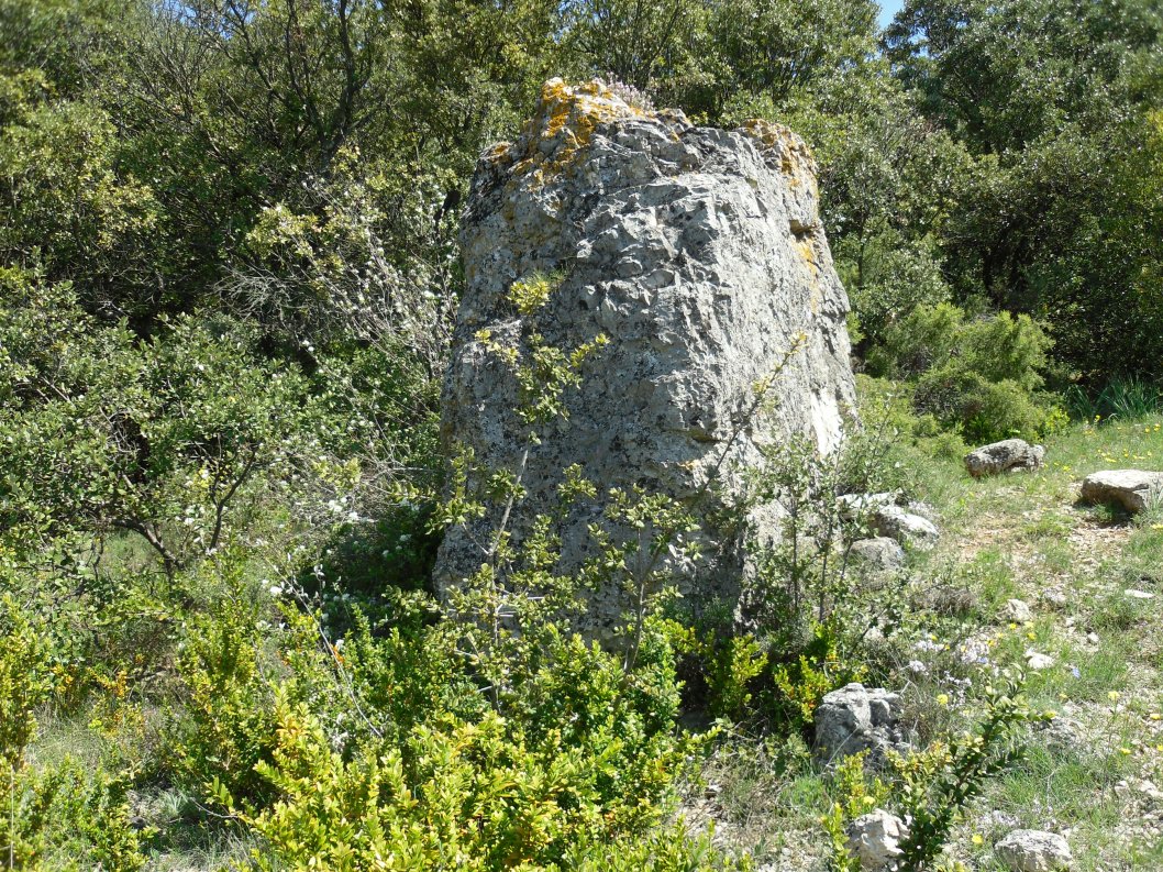 Click for full size image of Menhir dit la Pierre Droite de l'Ouïsse (PID:150997) Menhir dit la Pierre Droite de l'Ouïsse