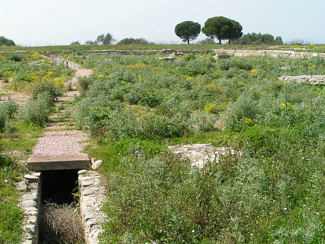 Click for full size image of Ruscino Oppidum (PID:22545) Ruscino Oppidum