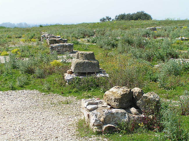 Ruscino Oppidum (PID:22546) Ruscino Oppidum