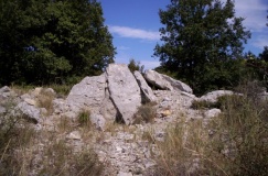 Banelle dolmen - PID:44926