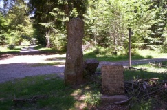 Col de Pierre Plant�e - PID:48999