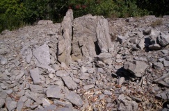 Dolmen de Montlous 1 - PID:70754