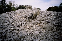 Feuilles Dolmen 1 - PID:15230