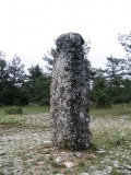 Dargilan menhir - PID:19755