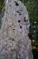 Click for full size image of Rougeiresque menhir (PID:48262) Rougeiresque menhir