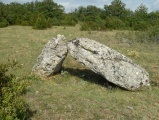 Click for full size image of Menhirs jumeaux de la Combe-Azémar (PID:97144) Menhirs jumeaux de la Combe-Azémar