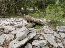 Feuilles Dolmen 3 - PID:83661
