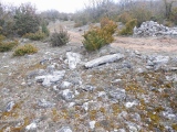 Dolmens du Bosc Gamasso