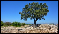 Click for full size image of Oppidum du Camp de César (Laudun-l'Ardoise) (PID:147889) Oppidum du Camp de César (Laudun-l'Ardoise)