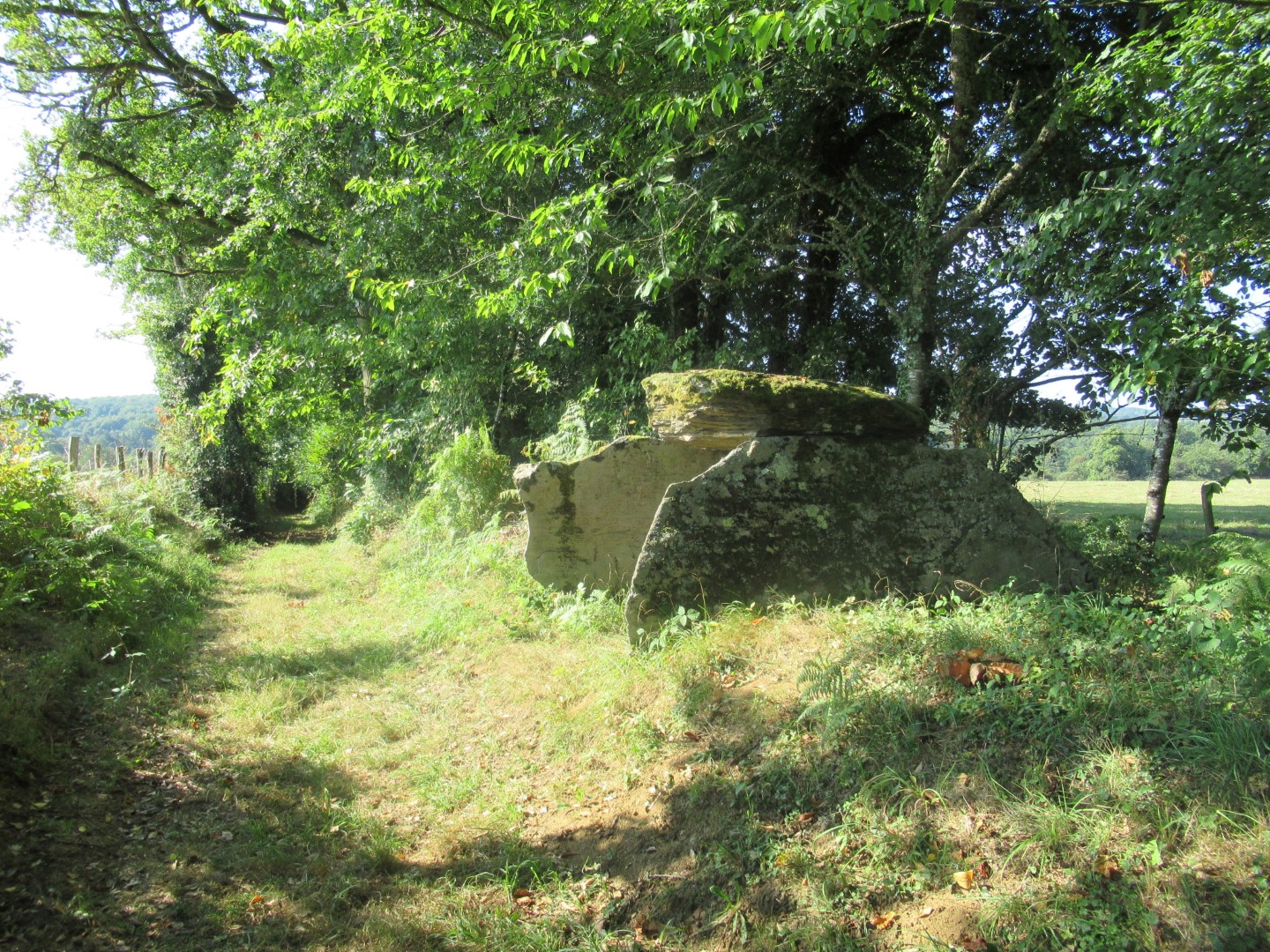 Click for full size image of Dolmen de la Tamanie (PID:186233) Dolmen de la Tamanie