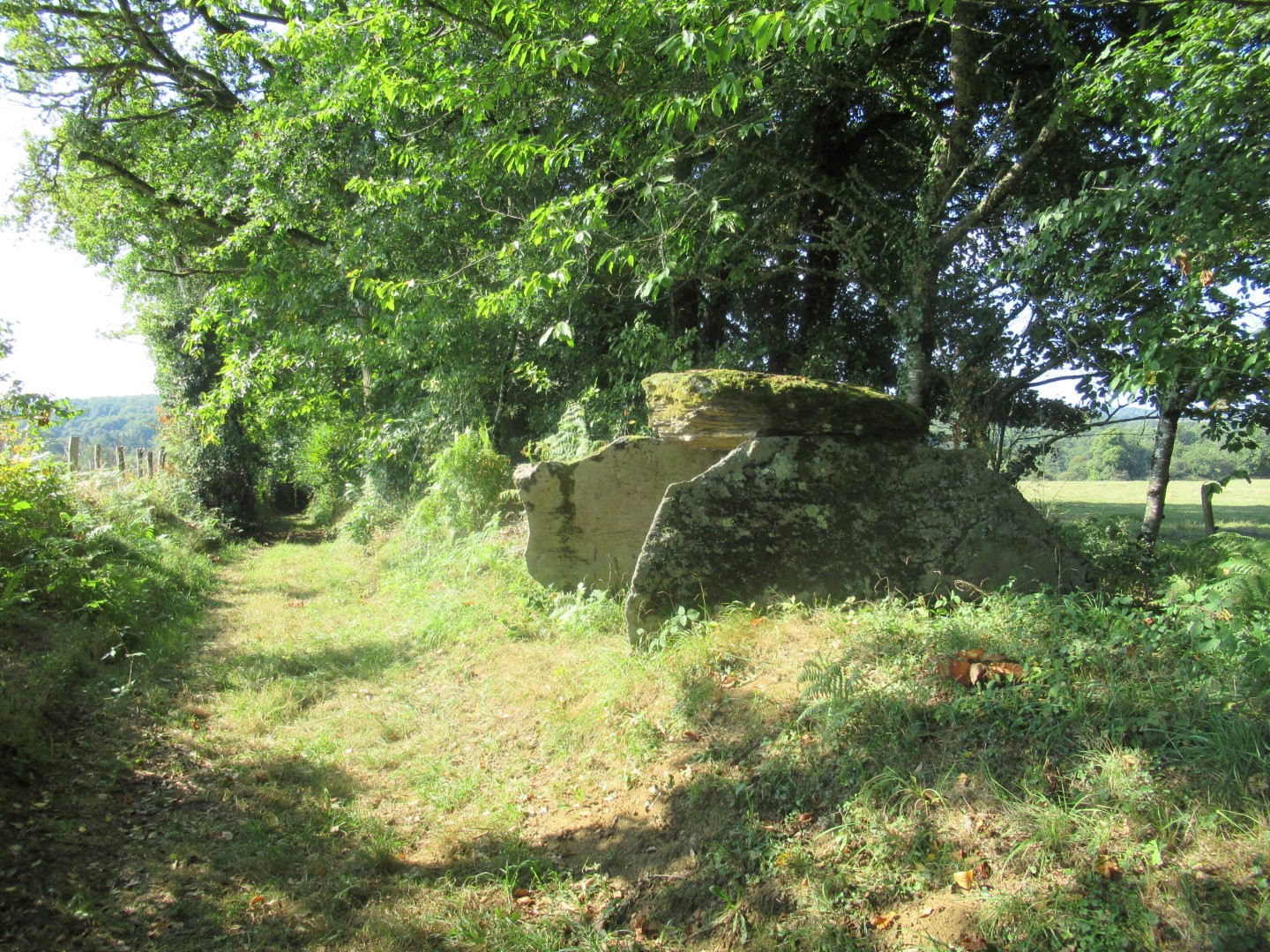 Dolmen de la Tamanie