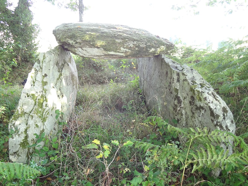 Click for full size image of Dolmen de la Tamanie (PID:178031) Dolmen de la Tamanie